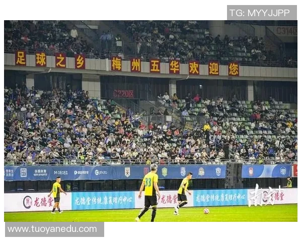 足球明星高收入背后的税务策略与管理揭秘